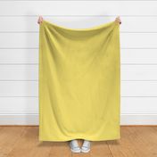 Solid Yellow Fresh Buttercup F1E377 Plain Fabric Solid Coordinate