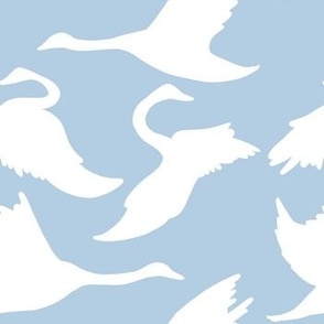 White swans silhouettes on baby blue