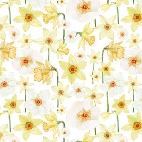 Small / Honey Daffodils