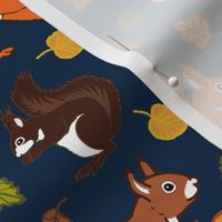 Many squirrels on dark blue