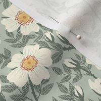 White wild roses on sage green - small scale