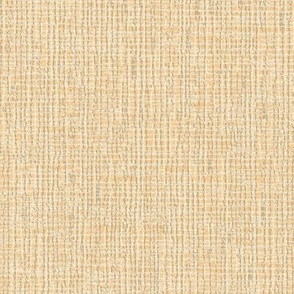 Natural Coarse Burlap Texture Benjamin Moore Concord Ivory Palette Light Fresh Modern Abstract Geometric