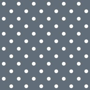 Slate gray white polka dots