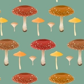 Autumnal Mushrooms