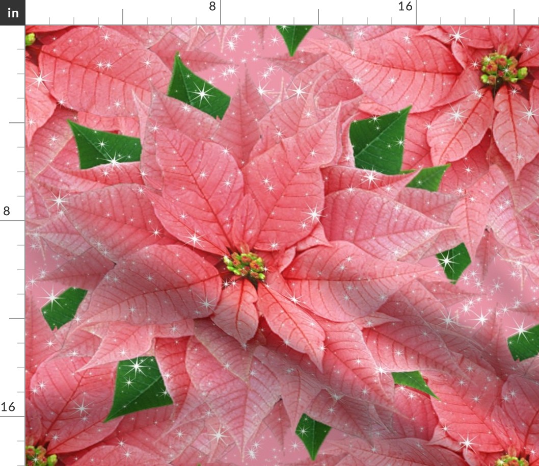 PINK POINSETTIAS