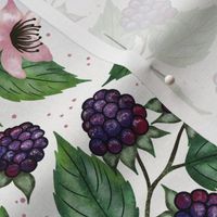 Blackberries on Branch  blush pink white background M scale