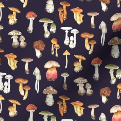 Poisonous mushrooms pattern