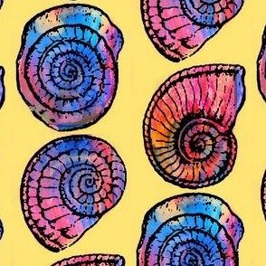 Amazing Ammonites 2!!!