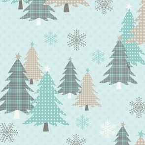 Frosty Evergreen Forest