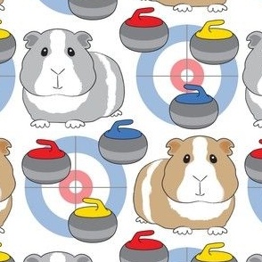 large curling guinea pigs on white