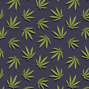 #221 Cannabis leaves on purple background