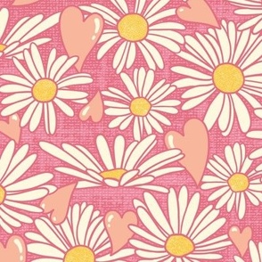Daisy Love on Pink (Large Scale)