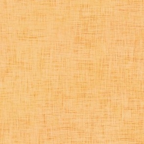 Solid Color Linen Texture Orange