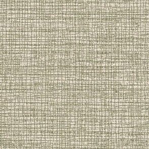 Natural Coarse Burlap Texture Benjamin Moore Springfield Sage Palette Light Subtle Modern Abstract Geometric