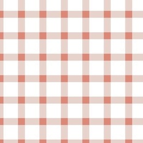 Medium // Pink Gingham Stripes 