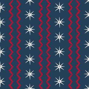Custom STARS AND STRIPES SAlty Dog_ Red and white