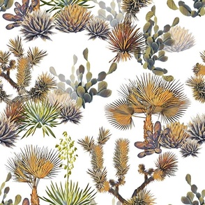 Desert Floral - Cactus, Agave, Palms, Yucca and Joshua Trees on solid white