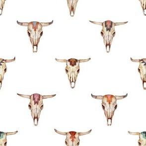 Painted Cow Skulls on solid white