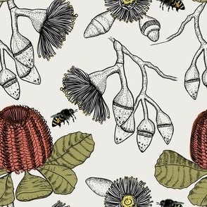 banksia, gum and honey bee on pale background 2021