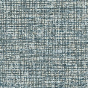 Natural Coarse Burlap Texture Benjamin Moore Van Deusen Blue Palette Light Subtle Modern Abstract Geometric