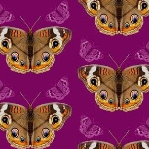 Polka Dots and Butterflies Purple 