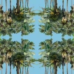palmiers sur fond bleu ciel