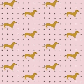 Dachshunds on Pink 