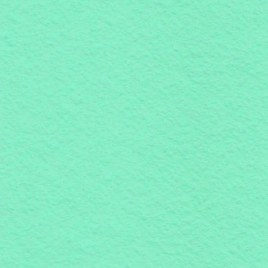 Celadon green water colour paper solid