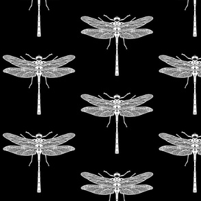 Dragonfly_black-white