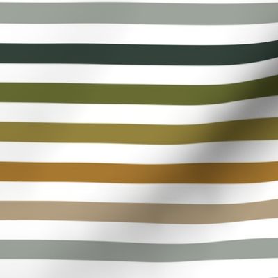 1/2" stripes: frog colors