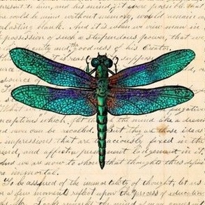Dragonfly on Old Letter