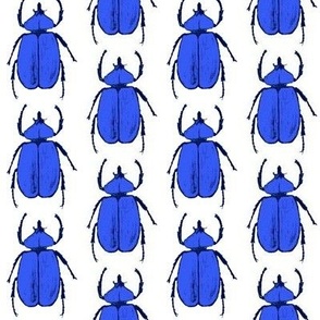 Periwinkle Jewel Beetle Bug