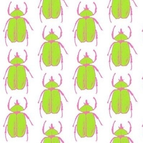 Preppy Beetle - Lime Green & Pink