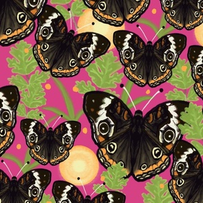 The “Common” Buckeye Butterfly // XL