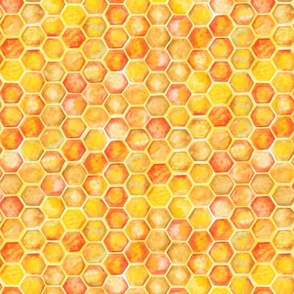 Watercolor Honeycomb