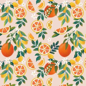 Citrus tree on blush background