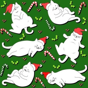 Christmas cats in hats
