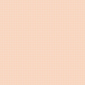Summertime Check  - Blush Rose - 2x2 micro mini