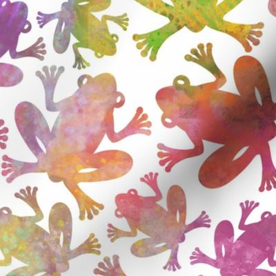 rainbow disco frogs