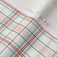 Peppermint Plaid - Small Scale