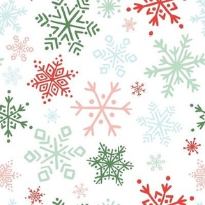 Colorful Snowflake on White - Medium Scale