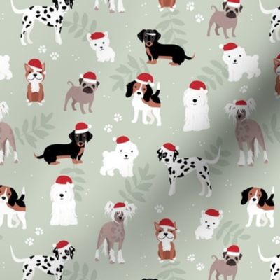 Happy Holidays Christmas dogs with santa hats dog breeds pugs dachshund corgi and other on soft mint green 