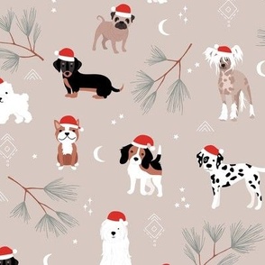 Santa puppies christmas dogs beagles dalmatian puppies pug corgi and more breeds winter beige sand neutral