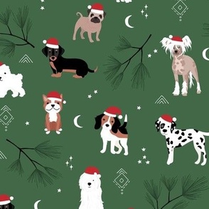 Santa puppies christmas dogs beagles dalmatian puppies pug corgi and more breeds winter pine green