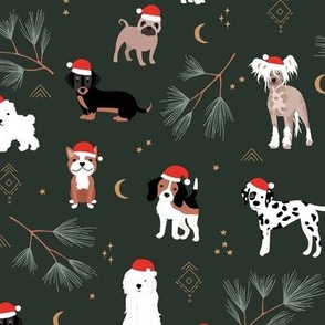 Happy Holidays Christmas dogs with santa hats dog breeds pugs dachshund corgi and other on night green 