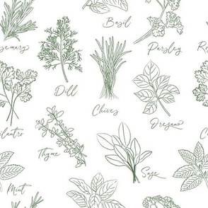 Green herbs on white - Large Scale