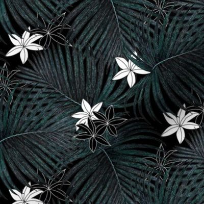 Tropical Lilies