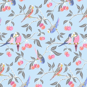 budgies in the cherry tree/custom softer version