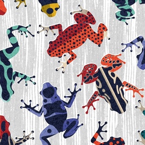 Large jumbo  scale // Quirky dart frogs dance // grey textured background brightly multicoloured poison amphibians