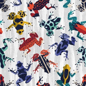 Quirky dart frogs dance // normal scale // grey textured background brightly multicoloured poison amphibians